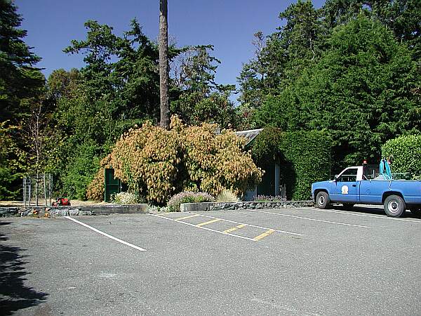 Park on the Northwest side of Saxe Point, close to the trail heads.  One trail head is just to the left of this building.