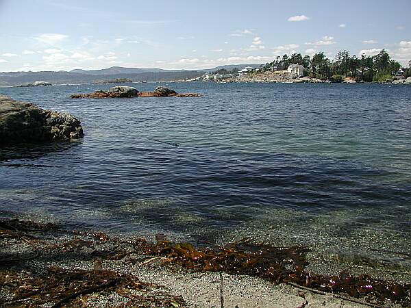 There is just a small amount of kelp to negotiate.  Keep to your left, and watch for any current.
