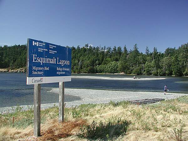 Heading down the hill and over the lagoon bridge, this sign will point you into the lagoon area. You'll actually want the beach just to the left.