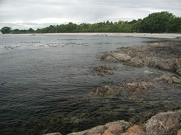 Search the kelp just off-shore for the local marine life.