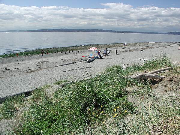 Mostly gravel, there's plenty of room to spread out, with a shelter and restroom nearby.