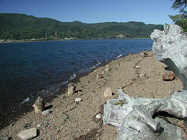 It's an easy wade into the water.  Be careful of underwater protrusions from the old dock.