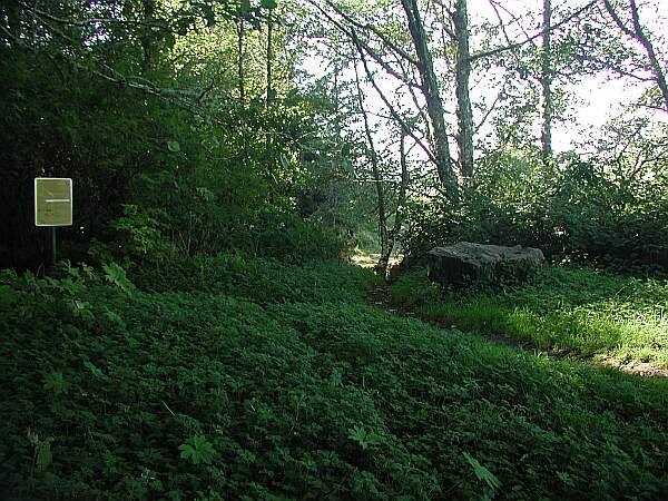 At the end of the parking area, find this trail head.  There is a sign here of current harvesting regulations.