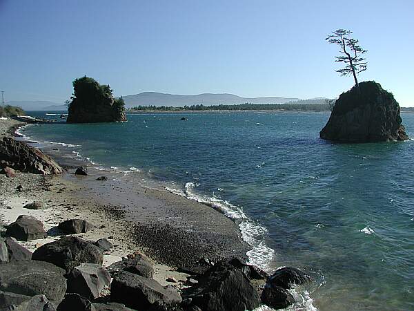 It's an easy walk into the water-- help your buddy get to waist-high water.  This spot is very susceptible to tidal flow.  Do not dive here unless you have received the proper instruction from a local dive shop.