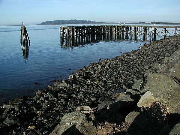 It should be safe to dive within the dock and piling area.  Beware of boaters if you venture out into the deeper water.