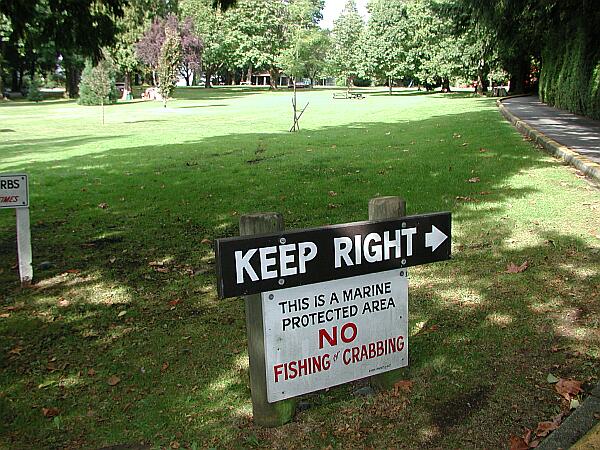 Wind your way around the central grassy area until you reach the parking next to the beach.