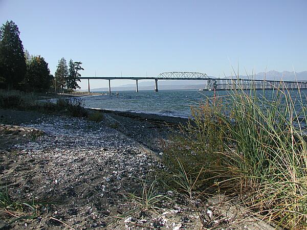 Hike toward the bridge for a bit until you see some menacing No Trespassing signs.  Enter the water, and swim toward the bridge.  Drop down where the first pier meets the water, and take your time exploring the pilings.