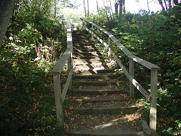 A civilized path gives a short hike from the parking to beach.