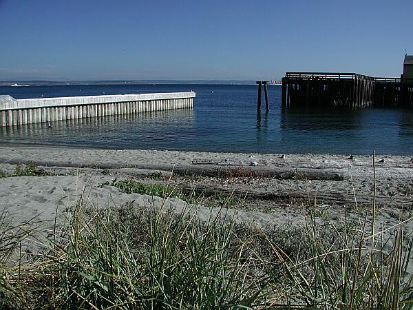 You may enter here at the boat ramp to explore the outer pilings of the wharf.  Be careful, of course, for boat traffic, and be aware of stray fishing line that could entangle you.