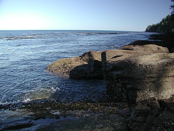 There are a couple of locations to enter the water from these rocks.  Watch for swells, and help your buddy in and out.