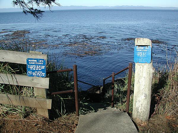 Gear up at your car.  It's an easy hike down to the water.