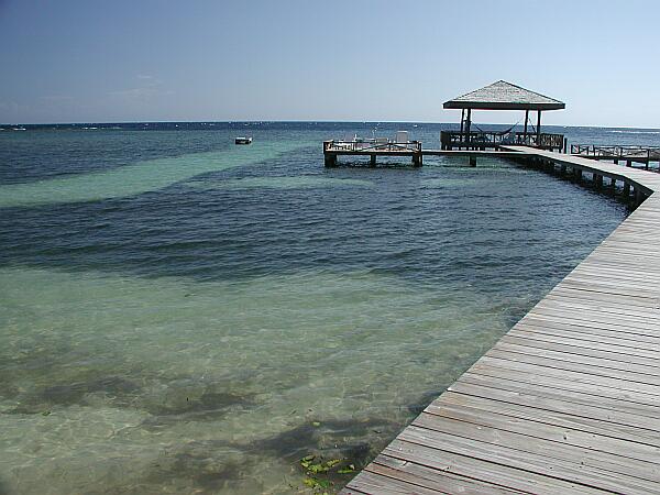 All shore diving follows the white sand path out to the small floating dock in the background.  From there, you drop down to follow a chain through a channel in their extensive reef.  The wall extends from directly out from the dock to hundreds of meters to the left.