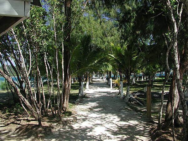 From the main lodge, you will walk a short, sandy path to get to the entry point.