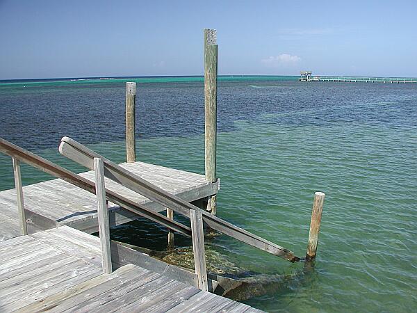 The dock offers an easy giant stride entry, or a leisurely stroll down the steps.  The nightly guided snorkel tour begins from this spot.