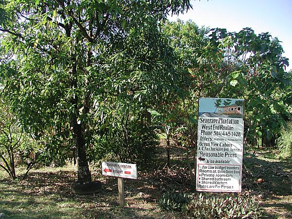 Once in the town of Half Moon Bay, take the dirt road to the right and follow this sign to the Sea Grape Plantation.