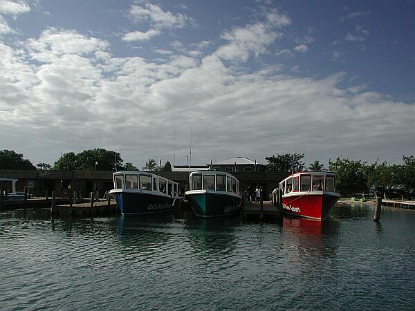 Their dock is used for their ferry as well as their many dive boats.