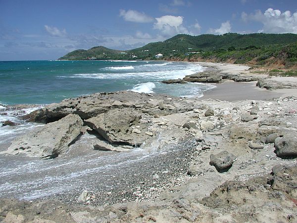 On the right side of the property, there are two sandy entry areas just made for shore diving!  Keep an eye on land marks to ensure you return to this exact location.