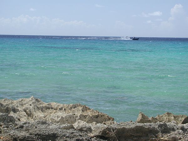 You may not be able to see the buoys in the enlargement of this picture, but they're out there well beyond the boat after the reef begins to drop off.  Do not underestimate the difficulty of this dive.  It is quite the swim to get to the buoys! So, if you are up for some adventure, and especially some exercise, this is the dive for you!