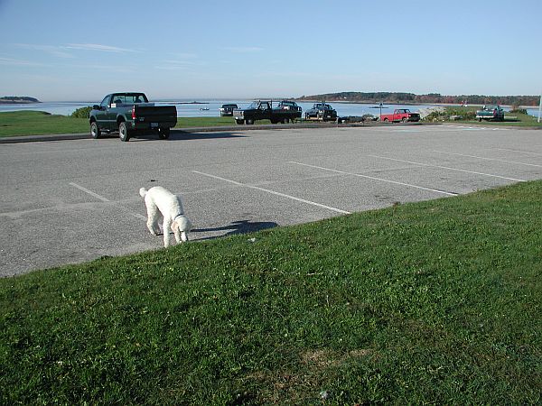 Lots of parking in this area, since it is used a lot by boaters.