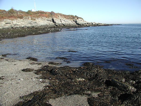 Just a few rocks and seaweed to watch out for.