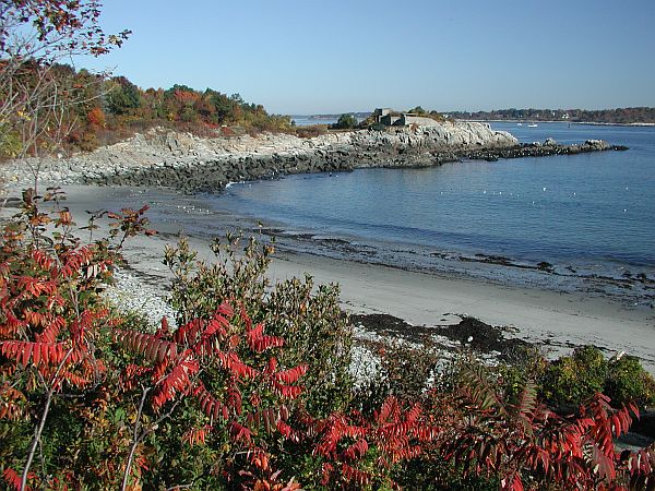 A swim to the left most point offers the best possibilities.