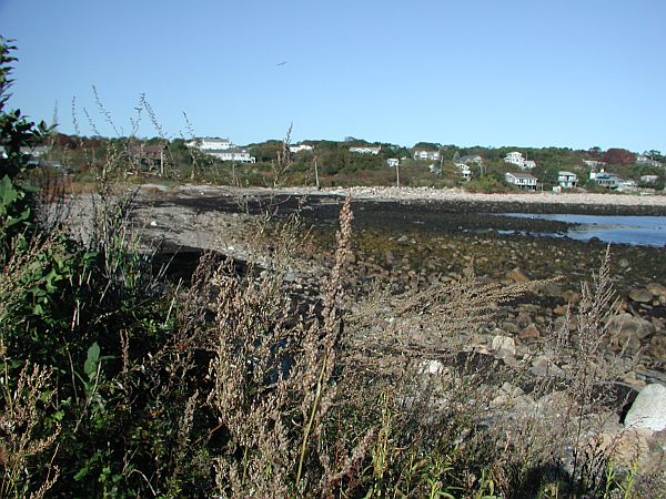 Rocks and kelp make up most of this area.