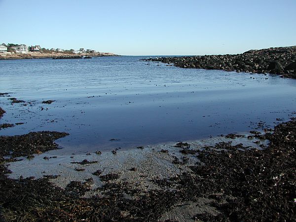 If you need to take a breather on your dive, just swim up to the small island in the middle of the cove and enjoy the scenery!