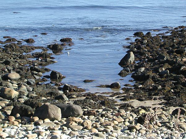 You'll easily find this pathway to the ocean.