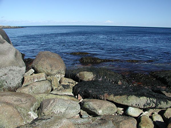 Making it to the water's edge requires some skill and boulder-crossing experience.  Go with a guide the first time if you are unsure of your ability to enter and exit a rocky environment.  We'd consider this an advanced dive.