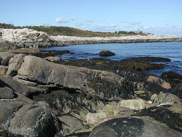 A view of the coastline to the left.