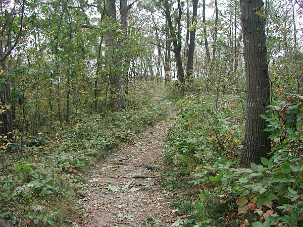 This is pretty much how the whole trail is out to the rocks.