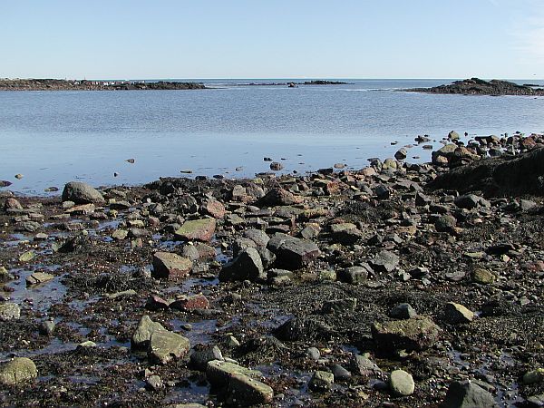 Help your buddy across these rocks, and have fun!