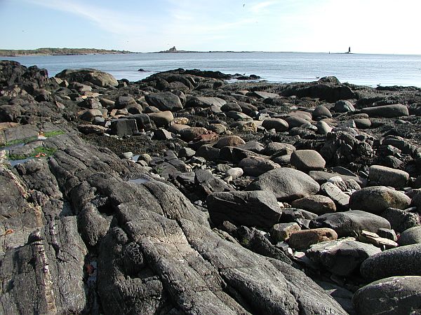 If you enter at high tide, you can slip off this ledge into deeper water.  At low tide, be careful transversing these rocks.  Help your buddy!