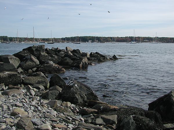 Start out here, and hug the coast to the right.  You shouldn't need to go down more than 40 feet to find sea life and perhaps some artifacts from days gone by.