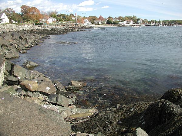 The entry is relatively easy, but the rocks can be slippery.  A dive flag is required, as pleasure boats frequent this area.