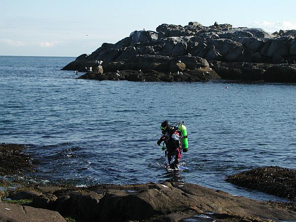 Here, during low tide, a diver finds a shelf to walk up.
