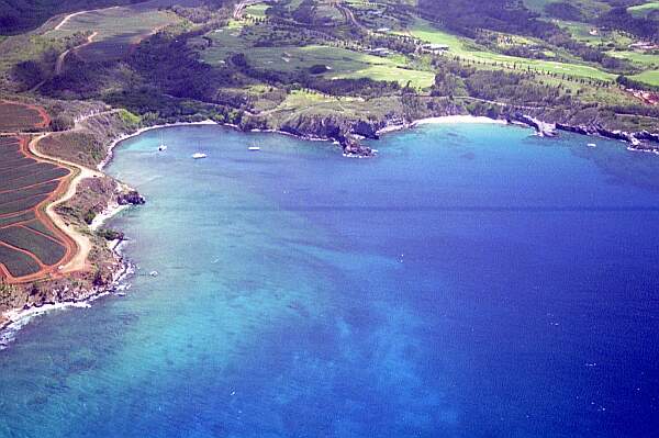 Honolua Bay