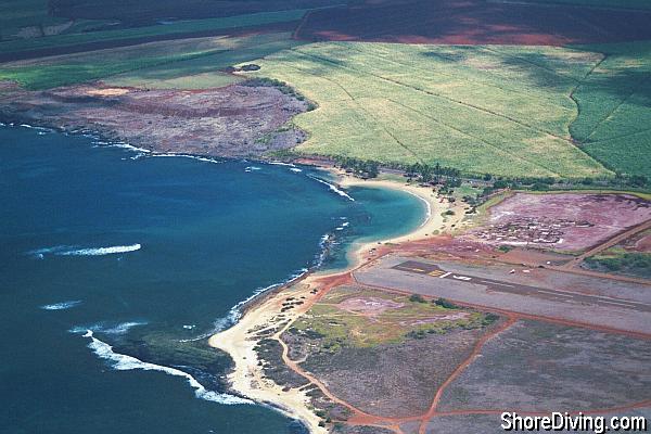 Salt Pond