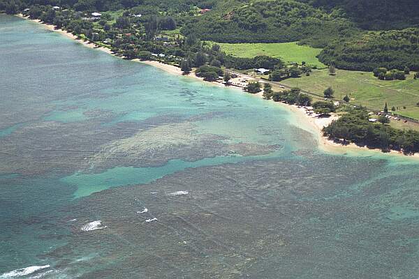 Anini Beach