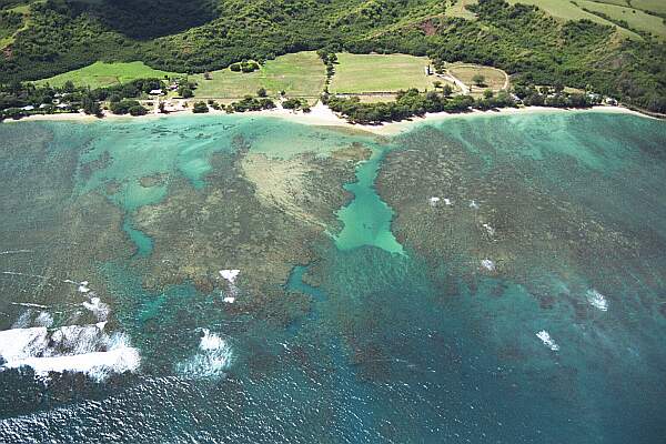 Anini Beach