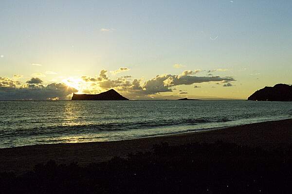 Scenery Oahu