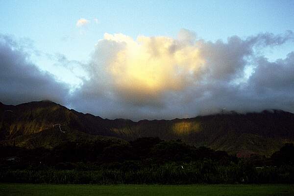 Scenery Oahu