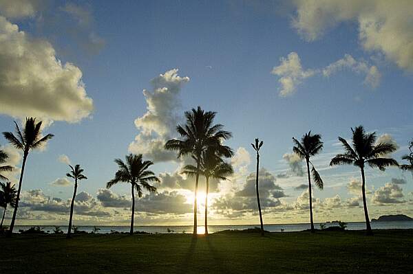 Scenery Oahu