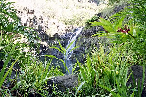 Scenery Oahu