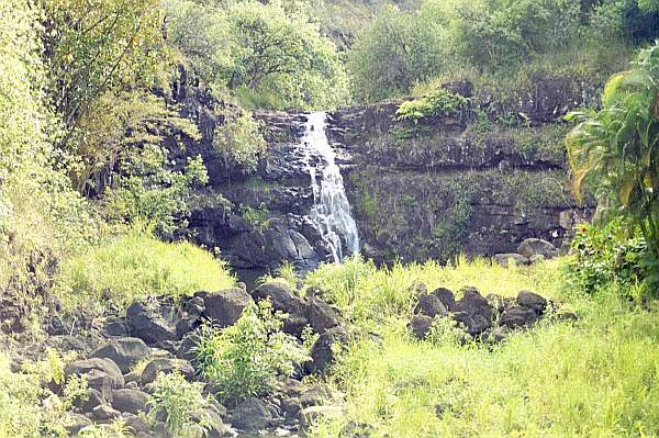 Scenery Oahu