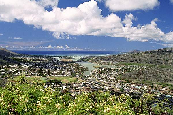 Scenery Oahu