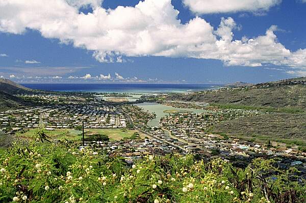 Scenery Oahu