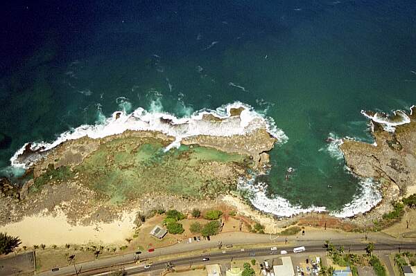 Shark's Cove