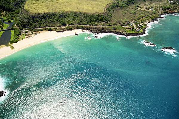 Waimea Bay (wall)