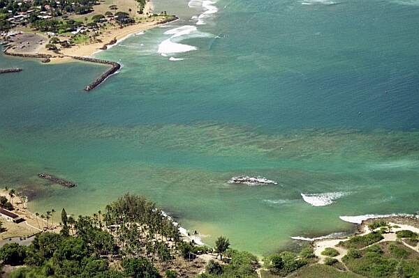 Hale'iwa Beach Park